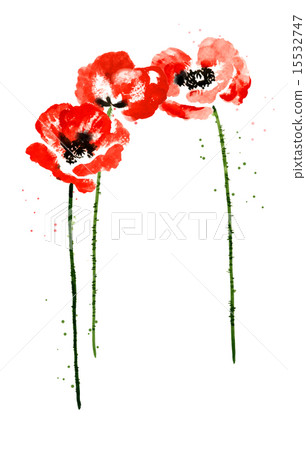 Collection of watercolor poppy flowers Collection of watercolor poppy flowers 15532747