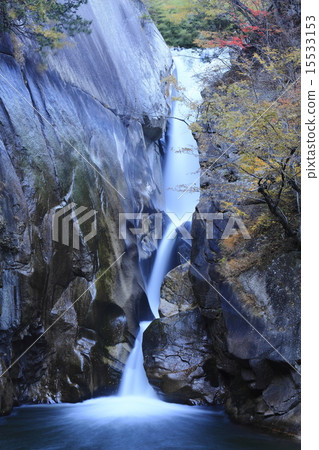 Shosenkenshigen Senba秋天的秋天 15533153