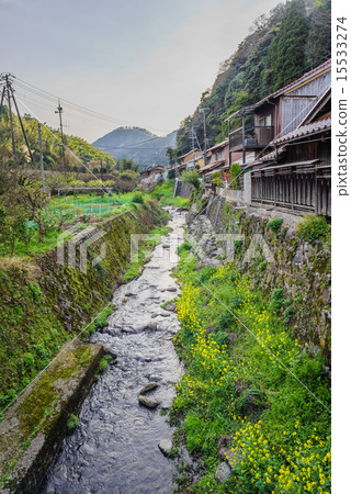 春天的Iwami Ginzan的大森地區的街道和Ginzan河的風景 15533274