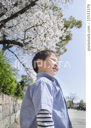Sakura and smiling child Sakura and smiling child 15533376