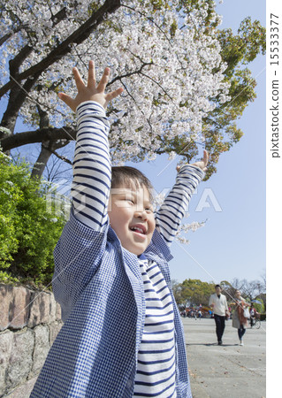 Child with a cherry tree Child with a cherry tree 15533377