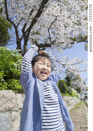 Sakura and smiling child Sakura and smiling child 15533378