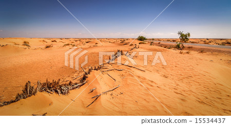 Desert Tunisia Desert Tunisia 15534437