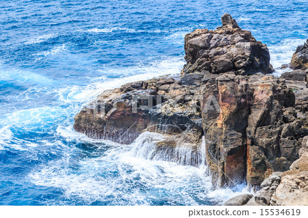 三步壁尖 15534619