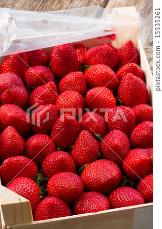 strawberry strawberry 15535261