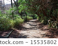 Mountain path of Hakone 15535802