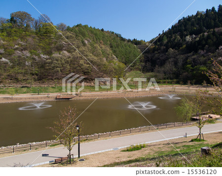天童公園的池塘 15536120