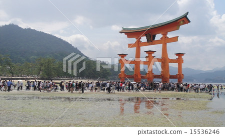 宮島鳥居在黃金周擁擠 15536246