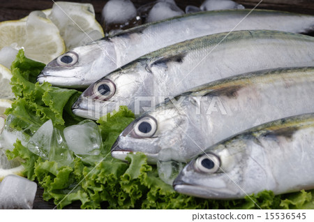 Mackerel Fish 15536545