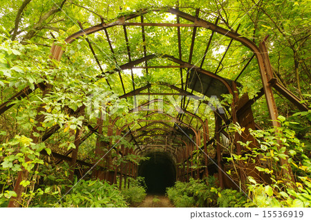 廢棄了山區的道路 15536919