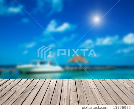 tropical sea 15536953