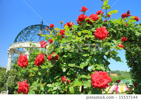 Tokyo German village lucky bell 15537144