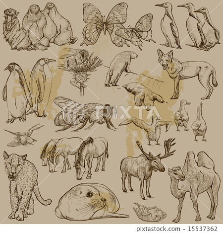 Animals - Hand drawn vector pack 15537362