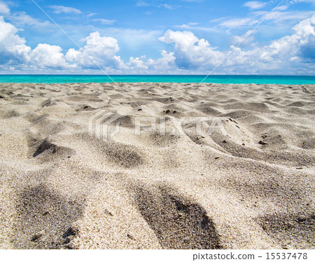 sea sea 15537478