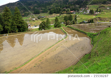 Rice terraces in Muroya 15538287