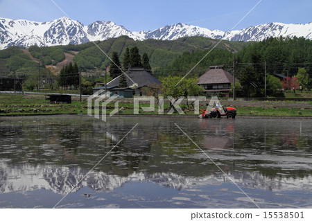 五月白馬村 五月白馬村 15538501