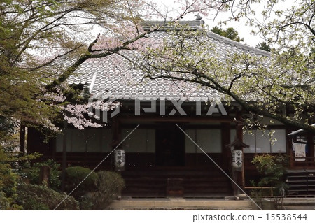 在京都Takamine Konoji寺廟的櫻花 在京都Takamine Konoji寺廟的櫻花 15538544