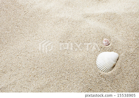 夏季地殼 15538905