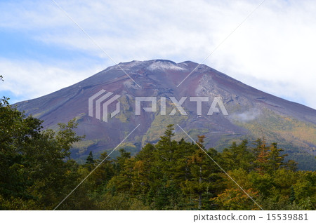 Fuji  15539881