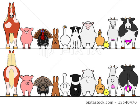 一排牲畜正面後排 15540470