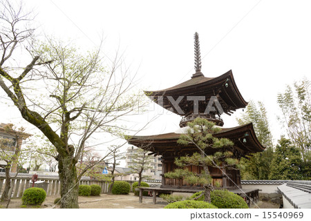 Towa Tower Taikyo Territory重要文化財產 15540969