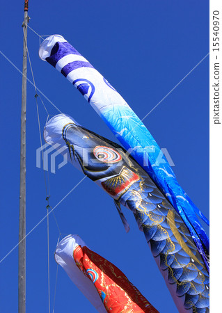 節日節目（葡萄牙國旗）和Koinobori Furaf的節目也將出現在高知縣的Yosakoi節 15540970