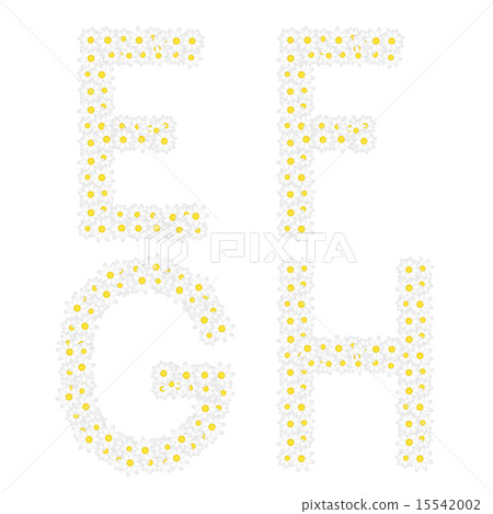 Letters EFGH composed from daisy flowers.  15542002