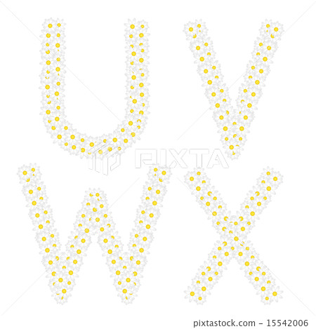 Letters UVWX composed from daisy flowers.  15542006
