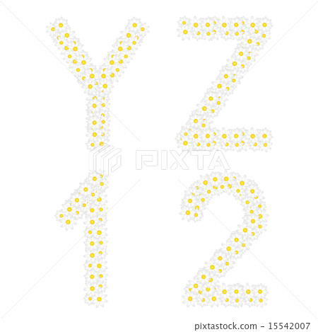 Letters YZ and 12 composed from daisy flowers.  15542007