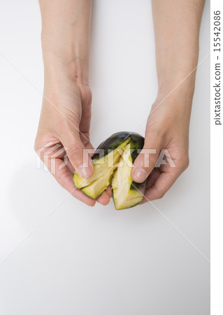 水餅乾 水餅乾 15542086