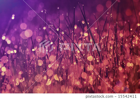 Morning dew on the grass in marsala color Morning dew on the grass in marsala color 15542411