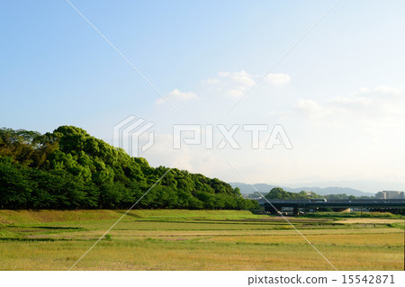 Embankment of Mizuki 15542871