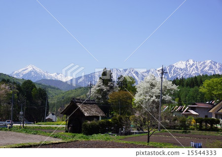 蕎麥鐵路小屋 15544333