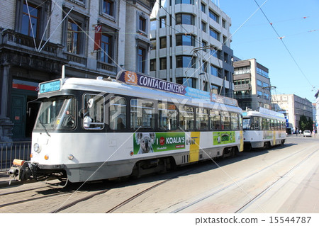 Antwerp tram Belgium 15544787