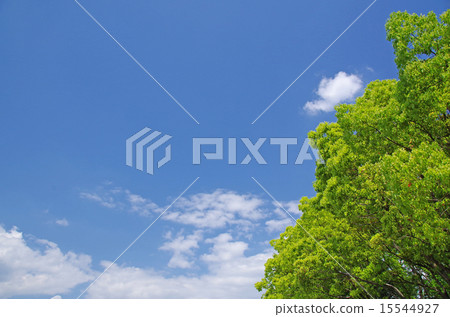 New green and blue sky (background material) 15544927