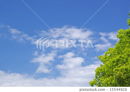 New green and blue sky (background material) 15544928