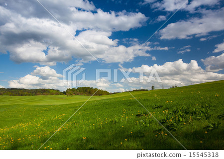 On a empty golf course in spring 15545318