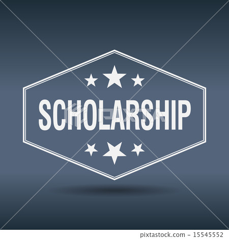 scholarship hexagonal vintage retro style label scholarship hexagonal vintage retro style label 15545552
