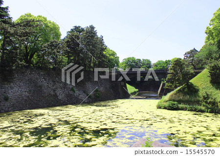 江戶城堡雙橋護城河 15545570