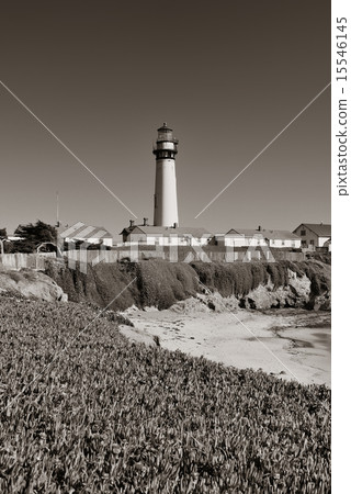 Pigeon Point lighthouse 15546145