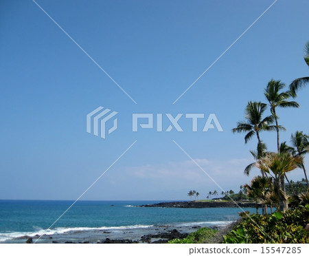 夏威夷海岸島 15547285