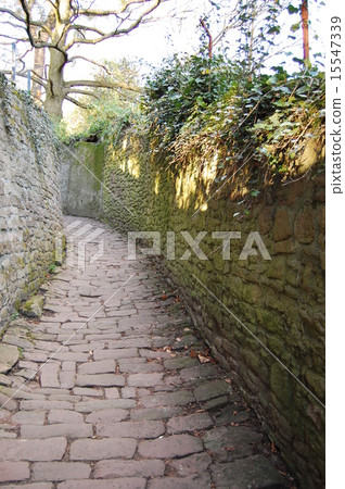 海德堡小道 15547339