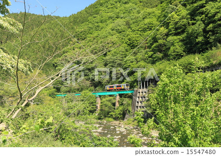 Mizui line "Wrapped in dazzling fresh green" 15547480
