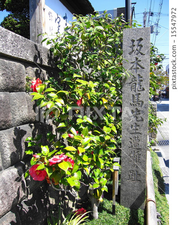 Teradaya Teradaya 15547972