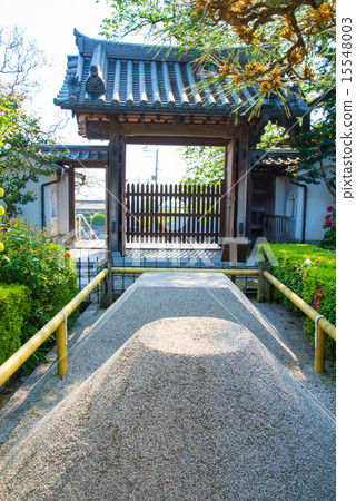 Tachisuna Tachisuna 15548003