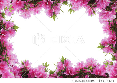 Satsuki's Frame 15548424