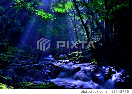 Red-eye Shotshigaraki Falls Red-eye Shotshigaraki Falls 15548756