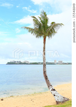 Beautiful beach of Guam 15548849