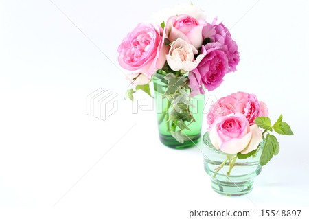 玫瑰的安排 15548897