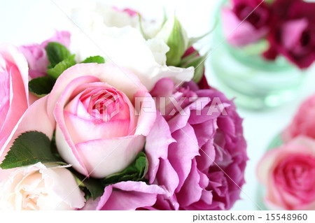 玫瑰的安排 15548960